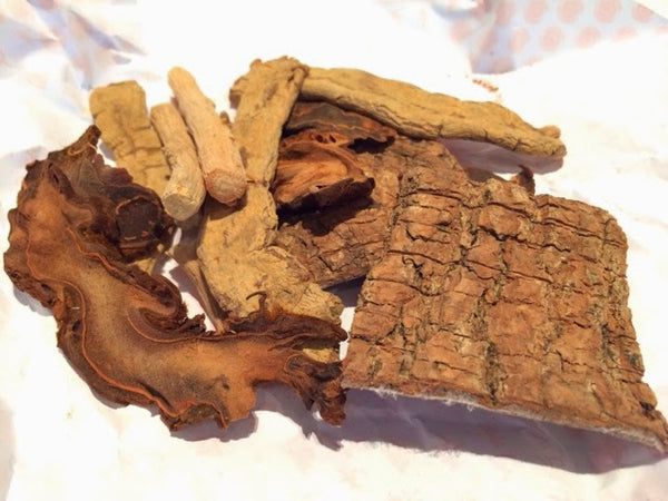 巴戟杜仲金狗脊牛大力黑豆湯 - 適合筋骨痠軟,腰膝無力,風濕骨痛人士