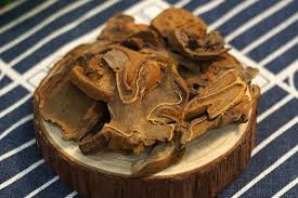 巴戟杜仲金狗脊牛大力黑豆湯 - 適合筋骨痠軟,腰膝無力,風濕骨痛人士